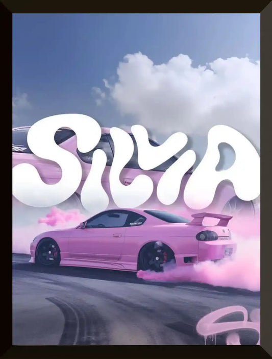 Coche rosa a la deriva Silvia texto