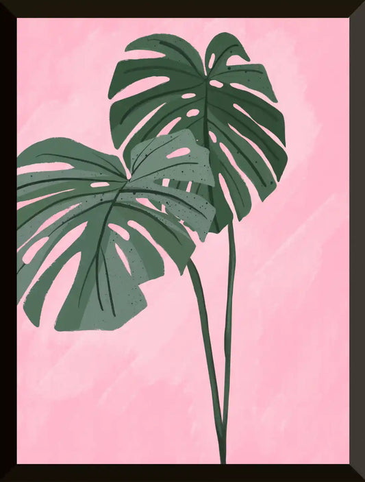 Hojas de monstera sobre fondo rosa