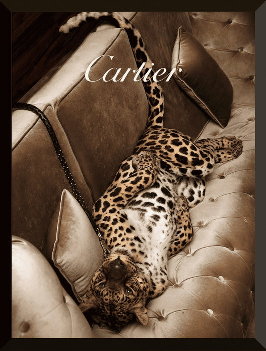 Leopardo Cartier chill