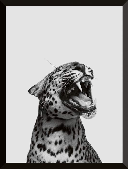 Leopardo roar power