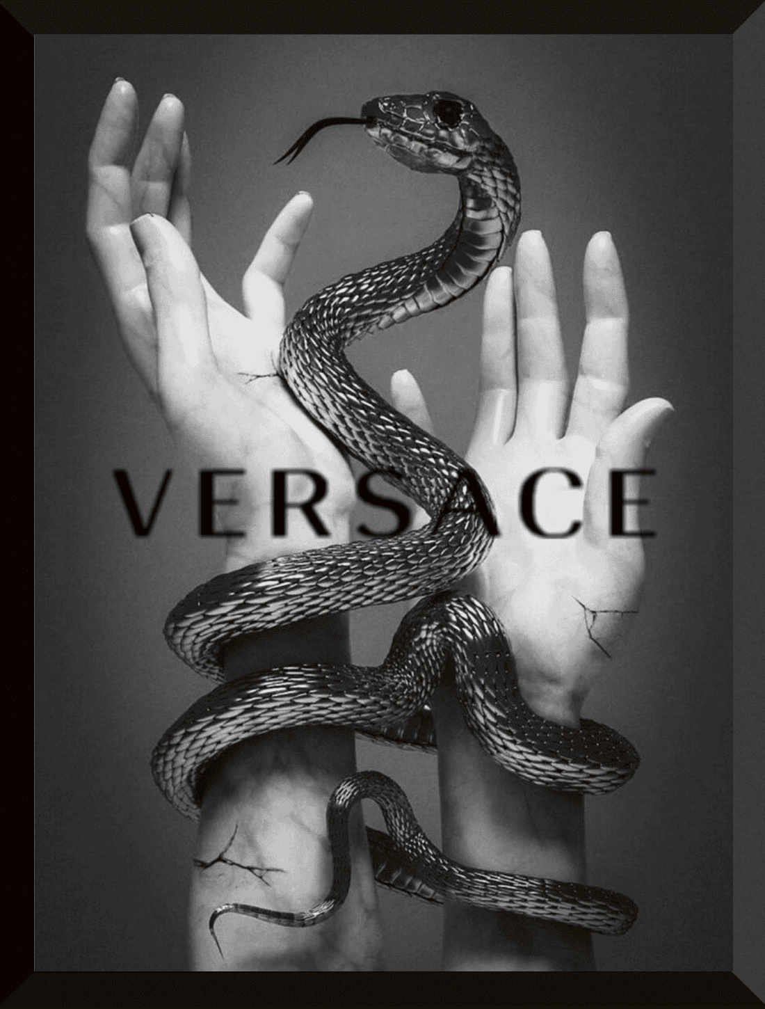 Versace snake chic