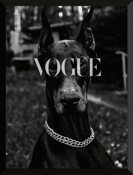 Vogue doberman